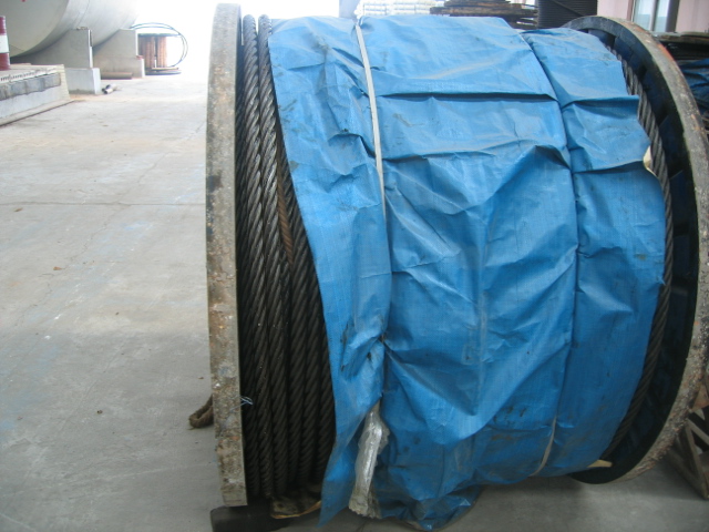 Galvanized Steel Wire Rope